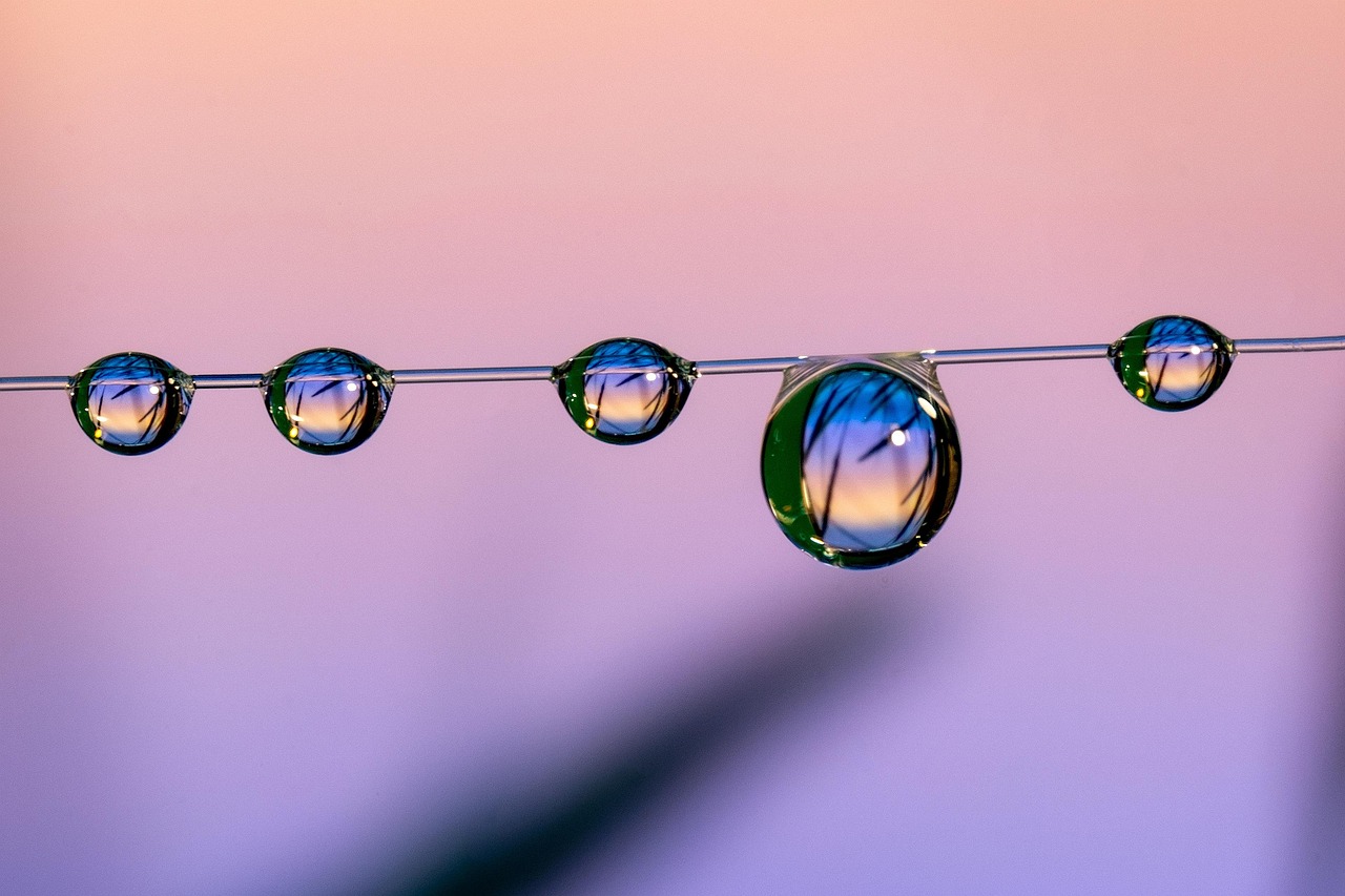 home studios, home studio, marco, macro, nature, sunset
